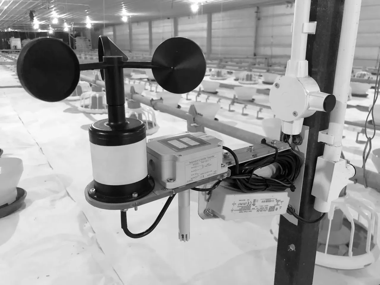 Smart Poultry System, dokumentasi 3